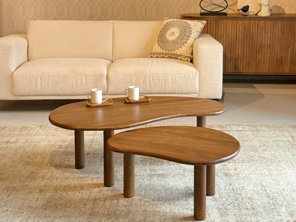 Lot de 2 petites tables basses de forme organique. Cette table est dotée d'un élégant plateau en bois.