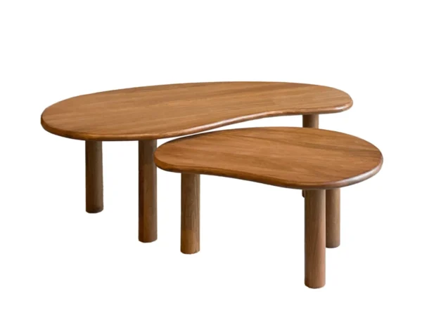 Lot de 2 petites tables basses de forme organique. Cette table est dotée d'un élégant plateau en bois.