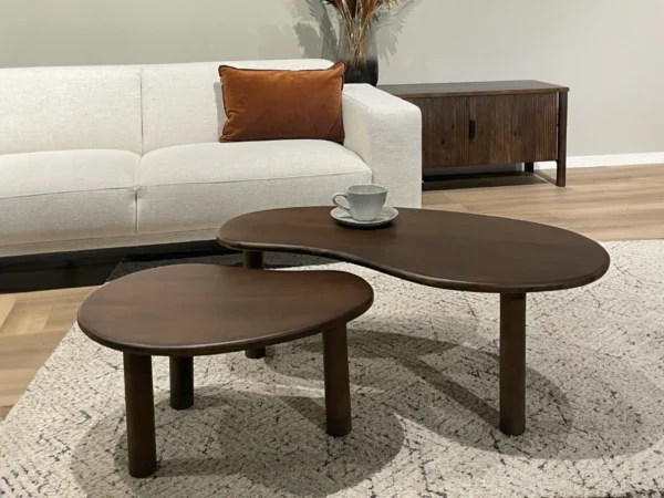 Lot de 2 petites tables basses de forme organique. Cette table est dotée d'un élégant plateau en bois.