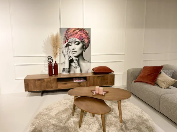 Industrieller TV-Schrank mit minimalistischen Flügeltüren und Metall. Dieser industrielle TV-Schrank hat einen minimalistischen Stil und schlanke Türen.
